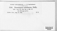 Image Associated With the Occurence